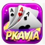pkavia game logo